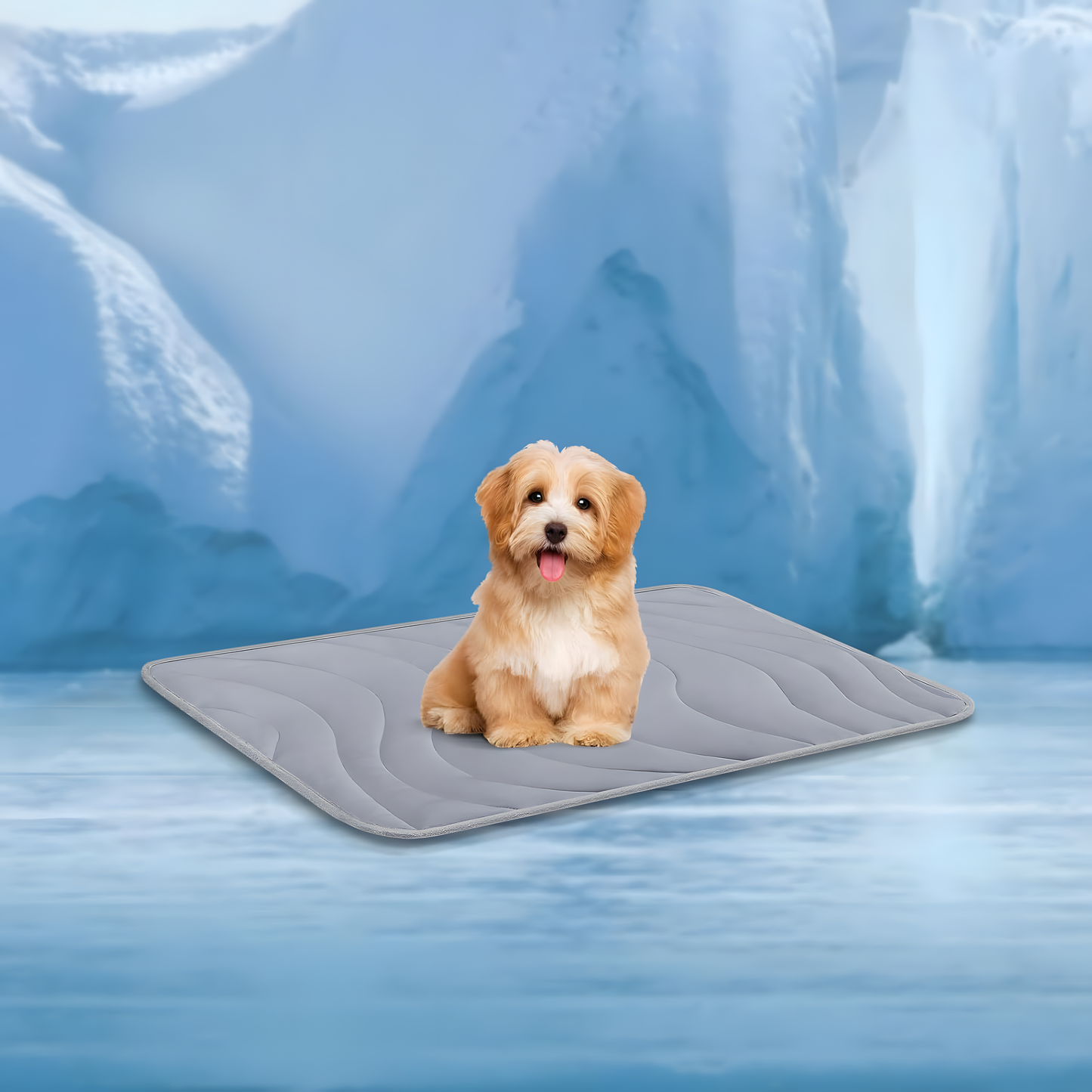 FurChill Comfort