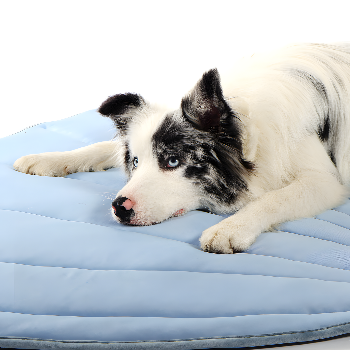 FurChill Comfort