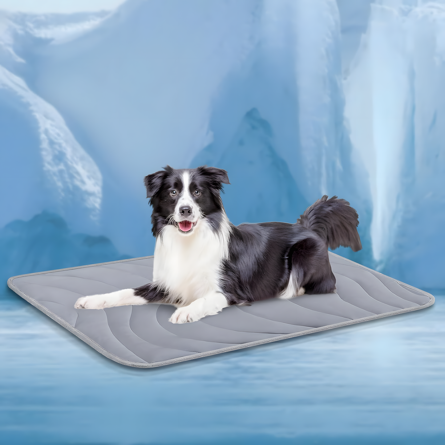 FurChill Comfort