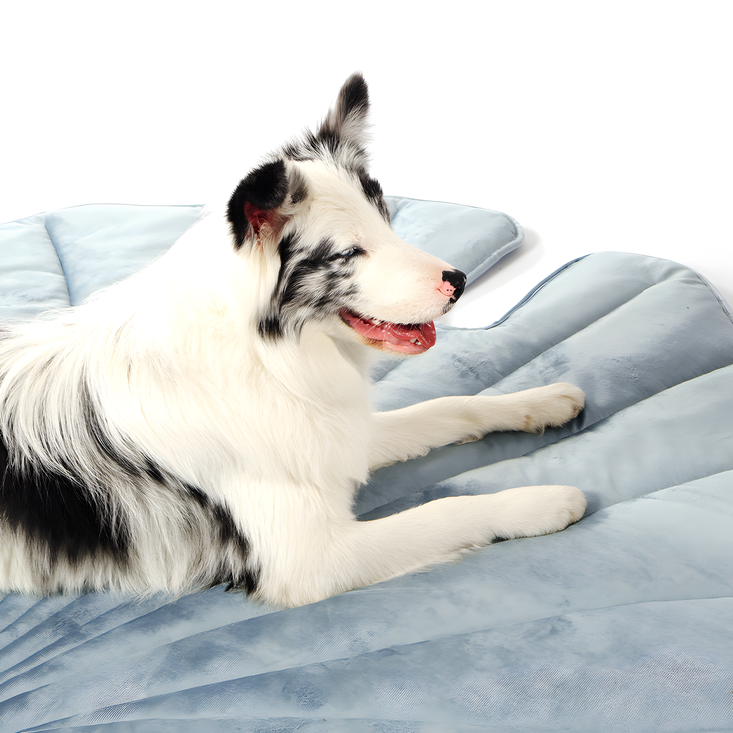 FurChill Comfort